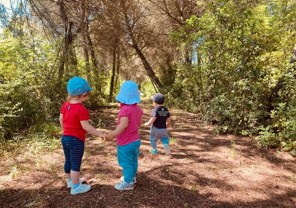 “TANTETINTE- IL NIDO DELLE IDEE” l’outdoor education e la fruizione degli spazi esterni.