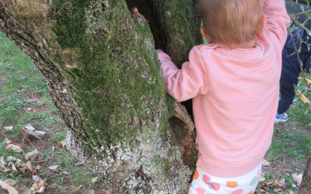 LA NATURA MAESTRA DI VITA