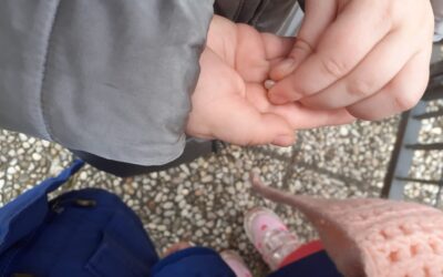 PICCOLE COSE
