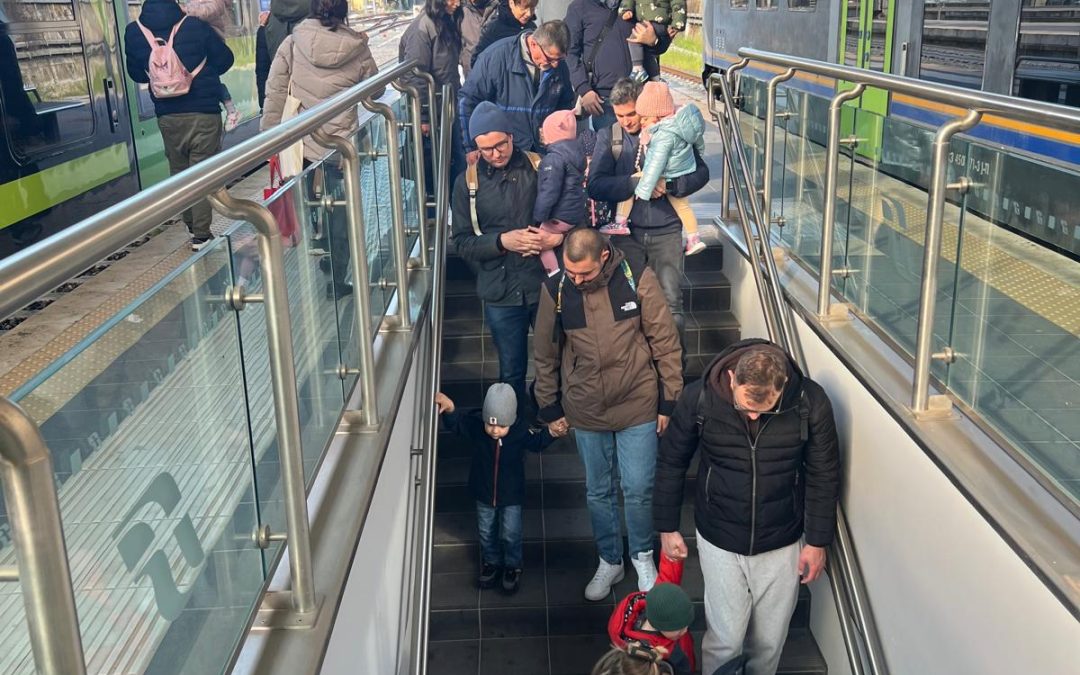 Nido orsacchiotto in viaggio
